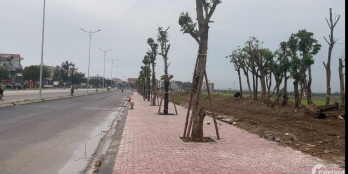 Siêu Phẩm Đất Nền Sắp Ra Mắt  Tháng 9  Ngay Thị Trấn Thanh Hà