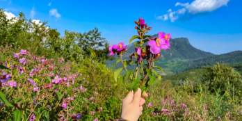 Bán Đất Y Tý cận thị, cận lộ, cận hồ 22ha đón đầu quy hoạch.0822356688