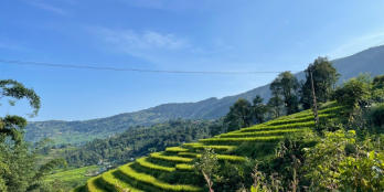 Bán đất Y Tý 4000m2 quy hoạch đất ở, pháp lý an toàn.0822356688