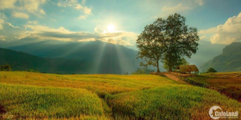 03 Lô đất liền kề gần 1200m tại trung tâm Du lịch Y Tý ( Sapa2 )- Liên hệ 082235