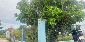 BÁN ĐẤT 150TR/M NGANG GẦN QL1A 170M CAM THÀNH BẮC CAM LÂM KHÁNH HÒA