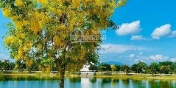 Chính chủ cần bán 1 số nền đẹp Golden Bay 1 giá cực tốt 16,7tr/m2