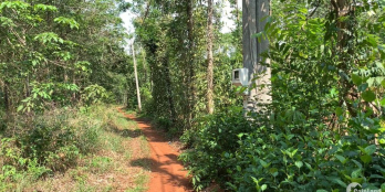 Bán đất BRVT có 50m mặt tiền cách đường chính Kim Long - Láng Lớn chỉ 350m