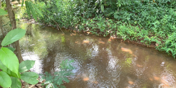 Cần bán đất có 2 con suối bao quanh, có sẵn 600m thổ cư tại Kim Long, BRVT