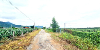 Bán MT 25x50m ĐẤT TC, 1 tỷ 8, Sơn Mỹ, Hàm Tân, Bình Thuận - 0933644449