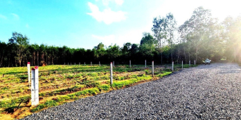 BÁN ĐẤT MT 1160M, 1.45 TỶ TÂN NGHĨA, HÀM TÂN, BÌNH THUẬN - 0933644449