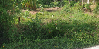 Đất Thôn 6 Thuỷ Phù, Hương Thuỷ 115m2