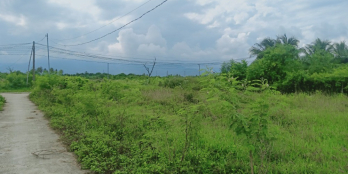 BÁN ĐẤT HỢP THỔ CƯ GIÁ CHỈ 470TR/LÔ CAM THÀNH BẮC, CAM LÂM KHÁNH HÒA