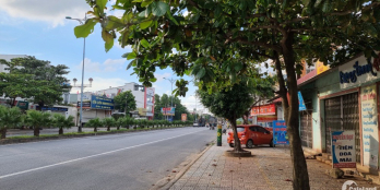 Mặt tiền Quốc lộ 1A, kinh doanh buôn bán sầm uất