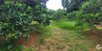 với giá đầu tư chỉ 300 nghìn đồng / 1m2