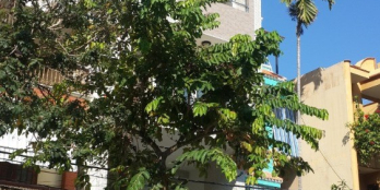 Bán nhà mặt tiền đường Phan Chu Trinh Biển Bãi Sau Vũng Tàu