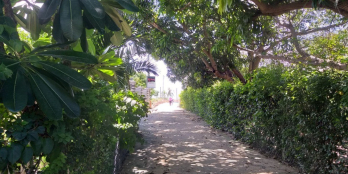 BÁN ĐẤT THỔ CƯ VEN ĐẦM THỦY TRIỀU,CAM THÀNH BẮC,GIÁ ĐẦU TƯ,CAM LÂM ,KHÁNH HÒA.