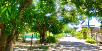 Bán đất giá rẻ,có thổ cư,mặt tiền đương Trương Vĩnh Ký Cam Đức Cam Lâm Khánh Hòa