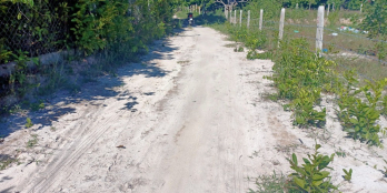 Hàng siêu hếm TTTT CAM ĐỨC MẶT TIỀN NGÔ GIA TỰ QH30M GIÁ CHỈ 2TR5/MV