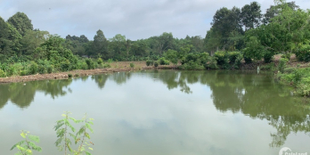 Cần bán đất Bà Rịa Vũng Tàu có suối bao quanh, 600m thổ cư tại thị trấn Kim Long