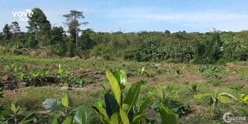 Bán nhà vườn BRVT có 2 mặt tiền 180m ven suối nước quanh năm, 100m2 thổ cư