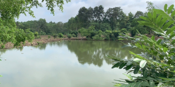 Cần bán vị trí tiềm năng có suối bao quanh, nhiều hồ nước lớn và sẵn 600 thổ cư