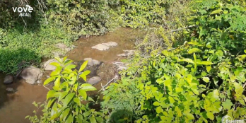 Bán nhà vườn BRVT có 2 mặt tiền rộng đến 180m ven suối nước quanh năm