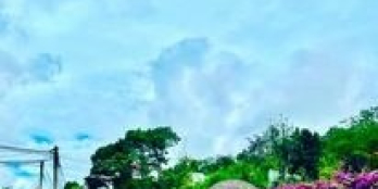 đất nền biệt thự nghie dưỡng tại đà lạt giá rẻ