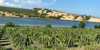 Bán 4144m2 đất bình tân gần kdl safari ưu đãi tháng 9 chỉ 490tr Lh 0938677909