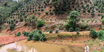 7000m đất xuân thọ. đất bằng phẳng view đẹp,sẵn nhà gỗ,hồ cá. cách quốc lộ 2km.