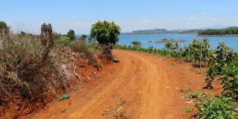 Đất nhà vườn nghỉ dưỡng view toàn cảnh hồ Đại Ninh,Lâm Đồng,DT 6.200m2, 4,3 tỷ