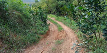 Farm sinh thái cực hiếm trên cung đường sầu riêng Khánh Sơn