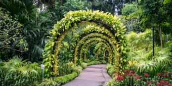 Giá tháng 10 The Pavilion Vinhomes Ocean Park