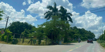 Đất củ chi ngộp mùa dịch 974m2 giá rẻ 1ty570 sổ hồng riêng