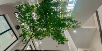 Bán nhà riêng phân lô Quan Nhân Cầu Giấy 9 tầng thang máy mới đẹp 72m2 ở+KD 17tỷ