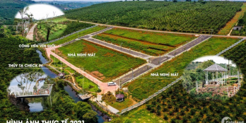 ?ở ?ữ? Đấ? ??ổ ?ư ???? ??ố? ????? ??á? ??ỉ ??%