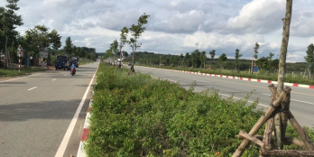 Bán đất mặt tiền Đường Mỹ Phước Tân Vạn, Xã Tân Định, Thị xã Bến Cát,Bình Dương