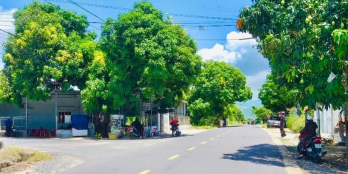 BÁN ĐẤT CÓ THỔ CƯ TRUNG TÂM ĐINH TIÊN HOÀNG CAM LÂM KHÁNH HÒA  GIÁ SIÊU RẺ.