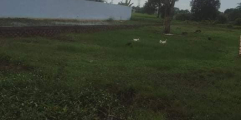 Bán đất mặt tiền đường số 2,Bình Lợi,Đức Hòa,Long An