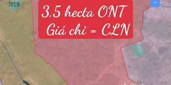 Bán rẻ 3,5 hecta đất thổ cư,xã Ninh GIa,Đức Trọng,Lâm Đồng,380 triệu/1.000m2 TL