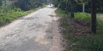 Cần bán đất 800m2 ở Tân Thông Hội, Củ Chi giá 1,6 tỷ 0902493040