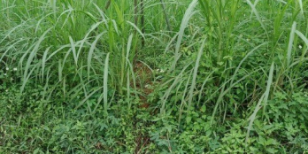 Bán nhanh vài lô đất đẹp mặt đường nhựa, giá chỉ 3xxtr.