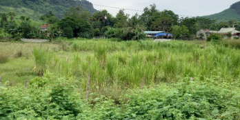 Ra nhanh vài lô đất mới trúng đấu giá mặt đường quốc lộ.