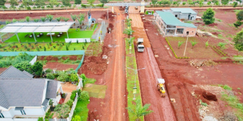 Bảo Tàng Điều Việt Nam - giá chỉ từ 4tr/m2 tại khu đô thị sinh thái Felicia City