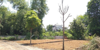 Lô 86m2 ở Sen Trì - Thạch Thất, đường rộng 7m, GIÁ 997 TRIỆU