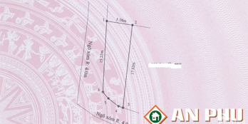 Bán lô góc 2 mặt tiền tại Hoàng Pha, Hoàng Động, Thủy Nguyên, Hải Phòng