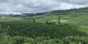 Mua bán đất Huyện Di Linh, Lâm Đồng, bán đất thổ cư, |đất vườn