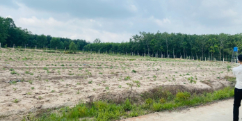 Có trong tay 1000m2 thì xây biệt thự vườn kiểu gì?