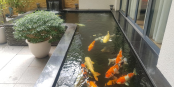 Nhà vườn sang trọng, đẳng cấp thiết kế dành cho Quan chức và Doanh Nhân.