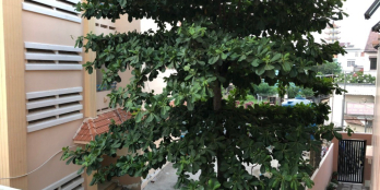 Cho thuê phòng 30m2 đường xe hơi khu Nguyễn Thị Định, Q2