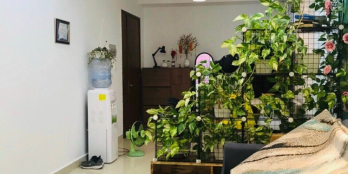 Cần bán chung cư topaz city giá tốt