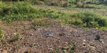 Chủ gửi bán lô đất mặt tiền đường bê tông xã Phú Hoà , Định Quán , Đồng Nai