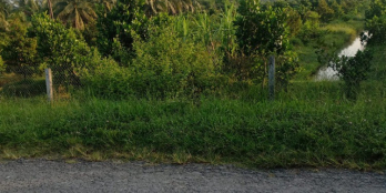 Bán 5800met vuông đất đẹp Đường Tỉnh 902