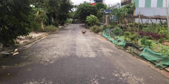 Bán nhà cấp 4, Hoà Bình 7, hướng Tây, thuộc Bá Tùng 2 Hoà Quý