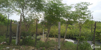 Chính Chủ Bán Gấp Nhà 2 Tầng 5x20 View Sân Golf Vị Trí Cực Đắc Địa